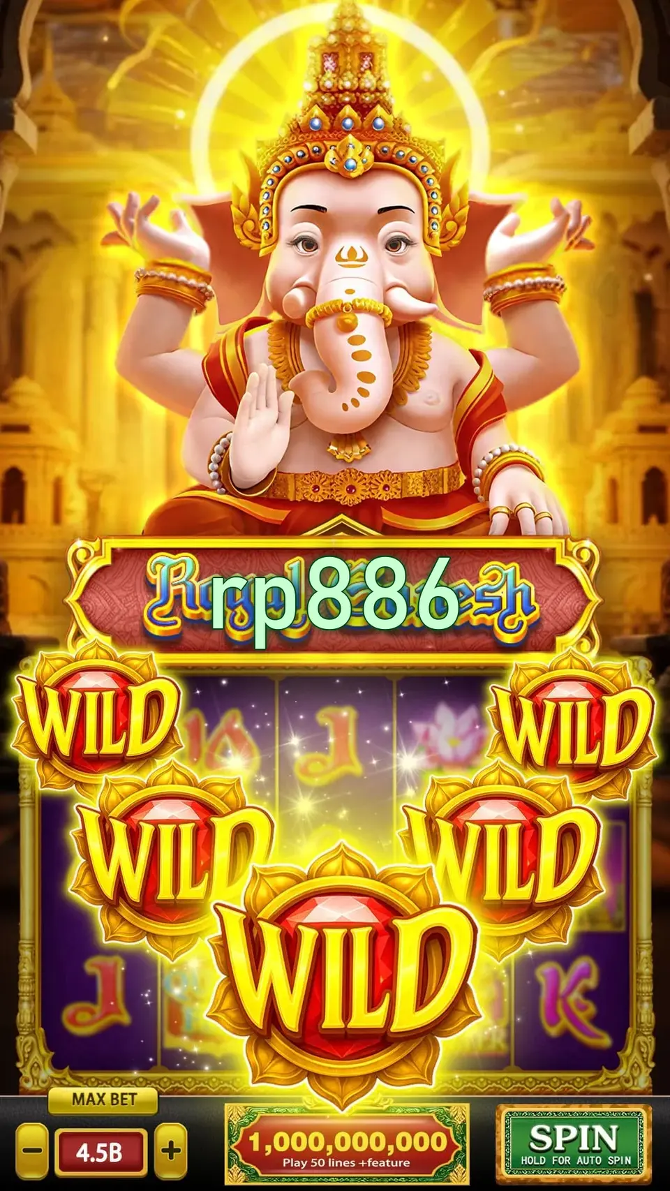 rp886 APK